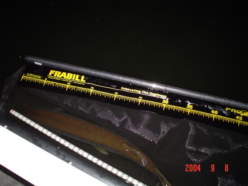 MuskieFIRST | New Release/Measuring Tool » General Discussion » Muskie