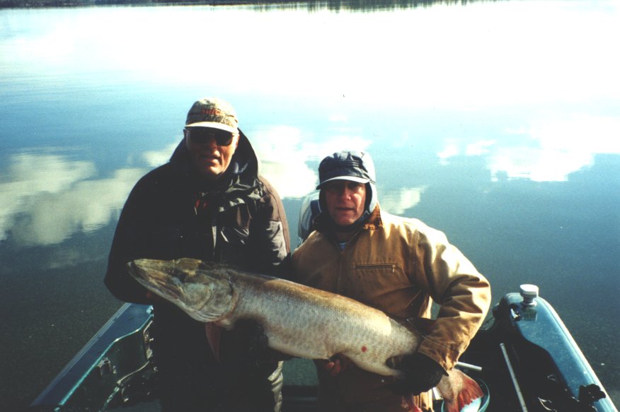 Will fish eat a RAT LURE? - Musky, Walleye, & 20inch Smallmouth - River  Fishing UP 