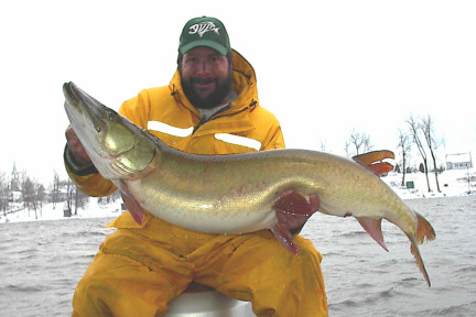 MuskieFIRST  Parrywinkle for sale. » Buy , Sell, and Trade » Muskie Fishing