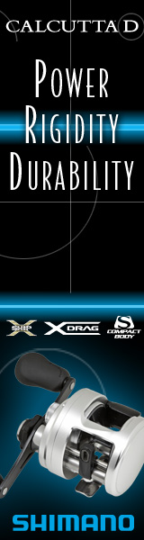 Shimano Calcutta D