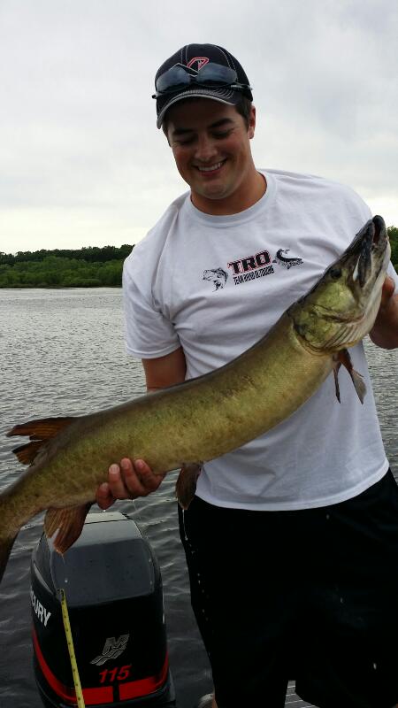 Click to expand / contract the width of this image