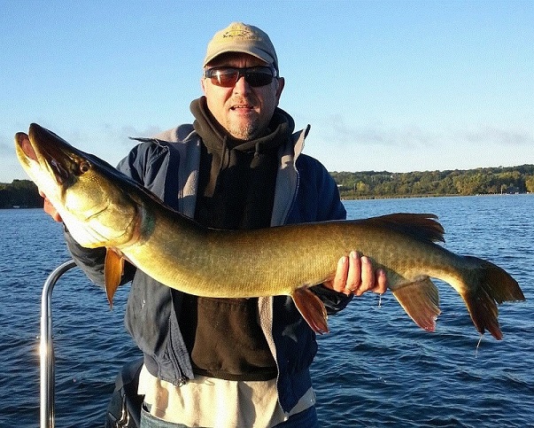 Click to expand / contract the width of this image