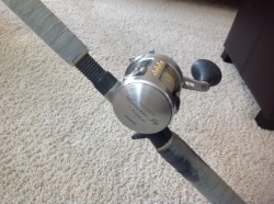 Click to expand / contract the width of this image