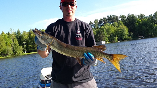 Click to expand / contract the width of this image