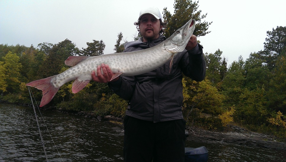 Click to expand / contract the width of this image