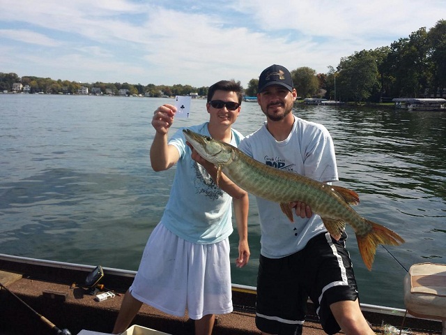 Click to expand / contract the width of this image