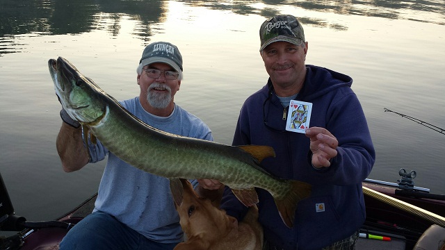 Click to expand / contract the width of this image