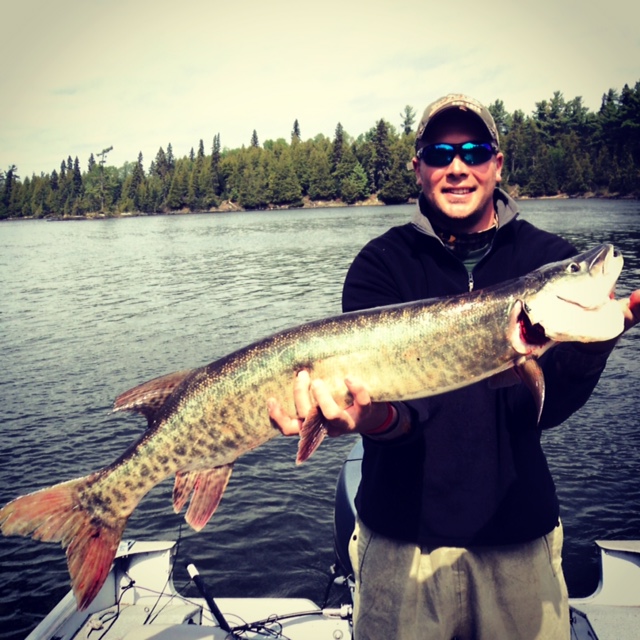 Click to expand / contract the width of this image