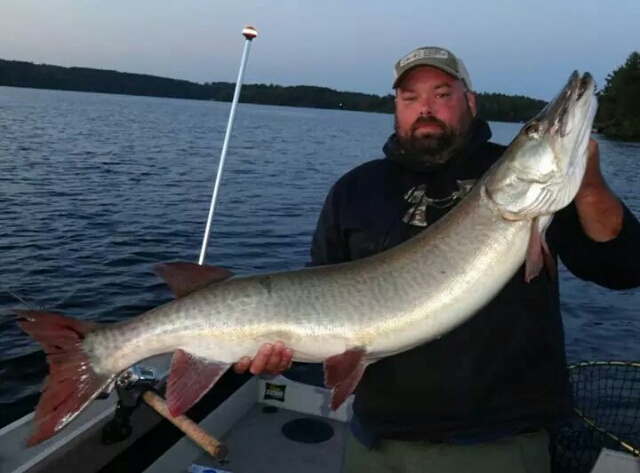 Click to expand / contract the width of this image