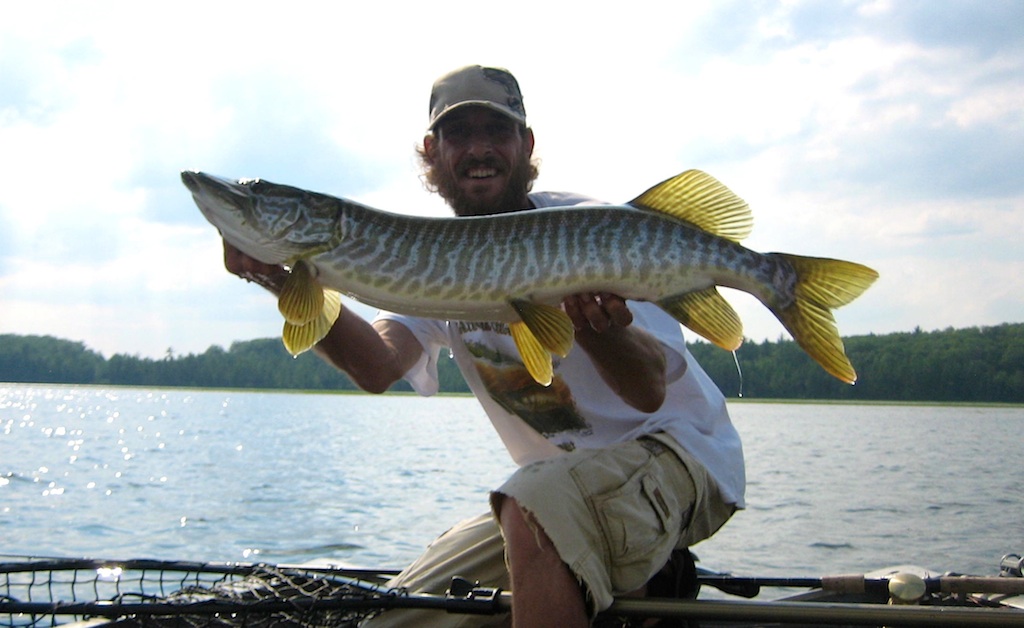 Click to expand / contract the width of this image