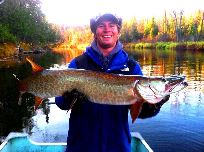 Click to expand / contract the width of this image