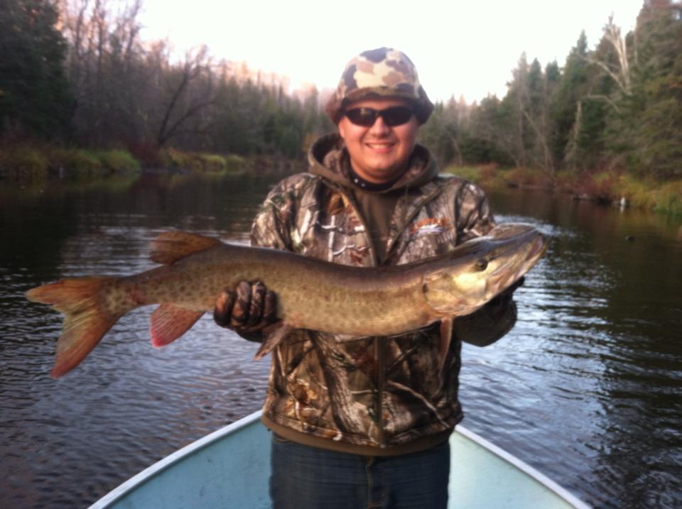 Click to expand / contract the width of this image