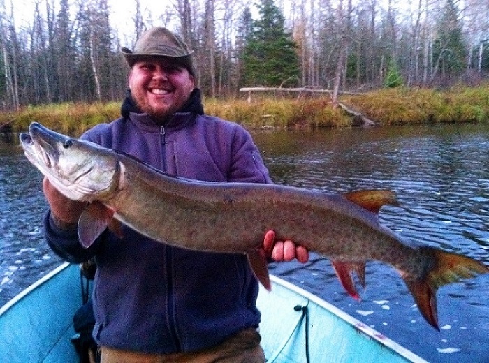 Click to expand / contract the width of this image