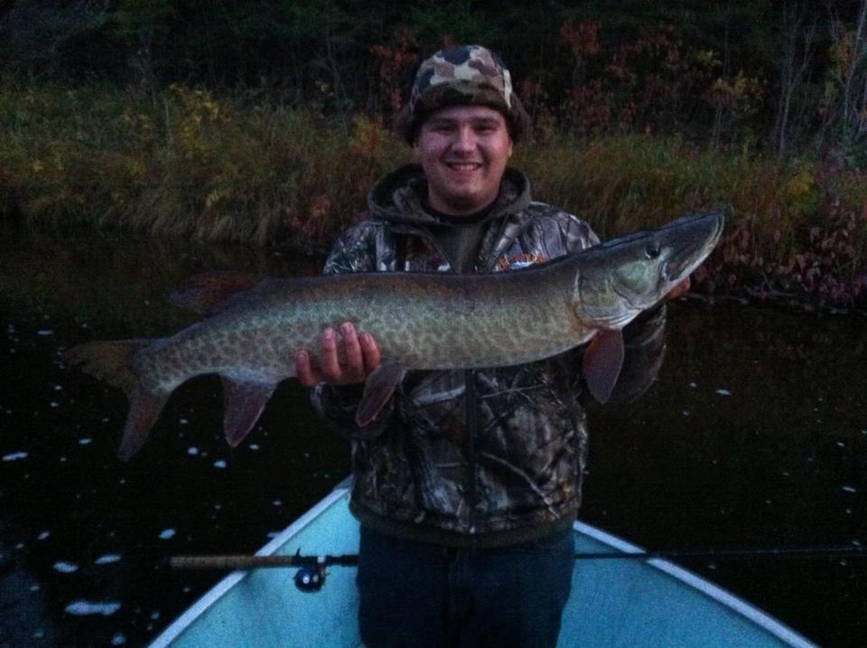 Click to expand / contract the width of this image