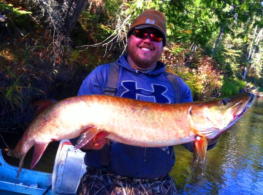 Click to expand / contract the width of this image