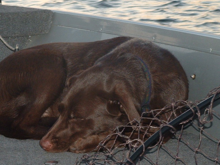 Click to expand / contract the width of this image