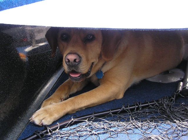 Click to expand / contract the width of this image