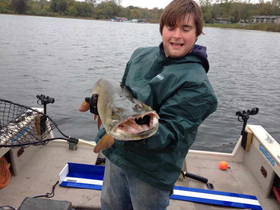 Click to expand / contract the width of this image