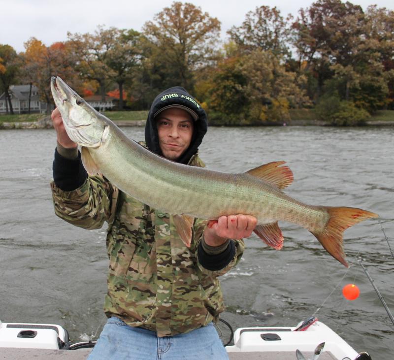 Click to expand / contract the width of this image