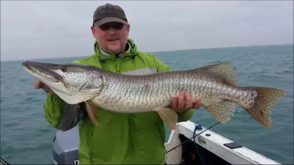 Click to expand / contract the width of this image