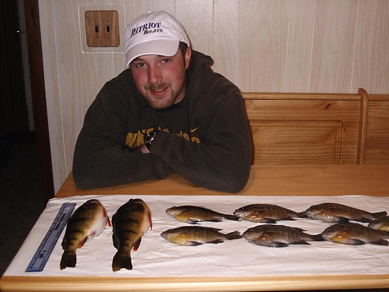 Click to expand / contract the width of this image