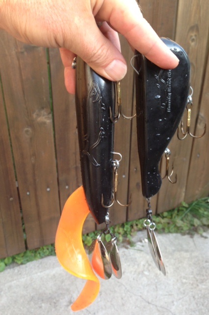 Click to expand / contract the width of this image