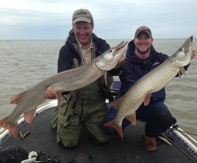 Click to expand / contract the width of this image