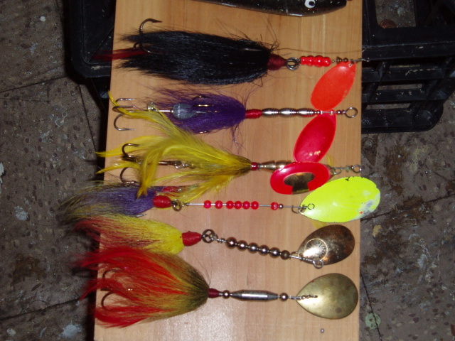 Click to expand / contract the width of this image