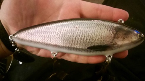 Click to expand / contract the width of this image