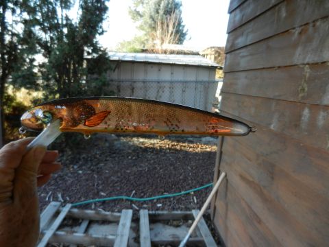 Click to expand / contract the width of this image