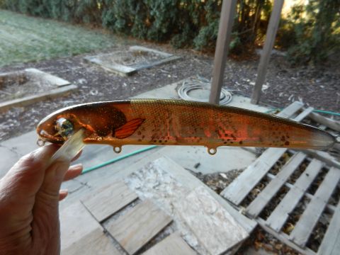 Click to expand / contract the width of this image