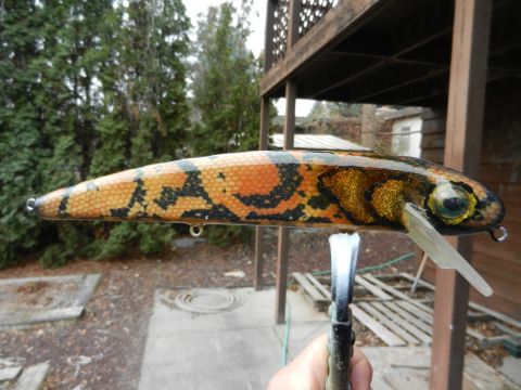 Click to expand / contract the width of this image