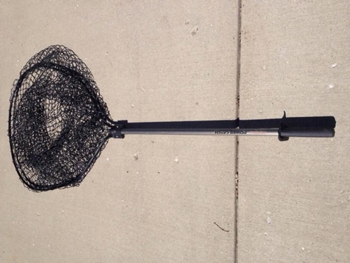 Click to expand / contract the width of this image