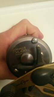 Click to expand / contract the width of this image