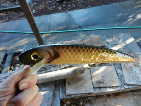 Click to expand / contract the width of this image