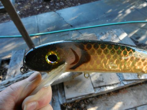 Click to expand / contract the width of this image