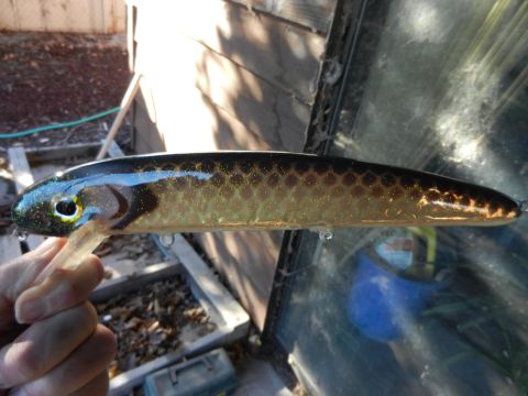 Click to expand / contract the width of this image