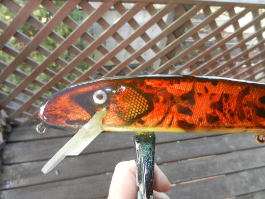 Click to expand / contract the width of this image