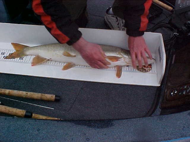 Click to expand / contract the width of this image