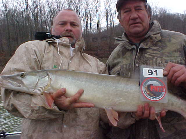 Click to expand / contract the width of this image