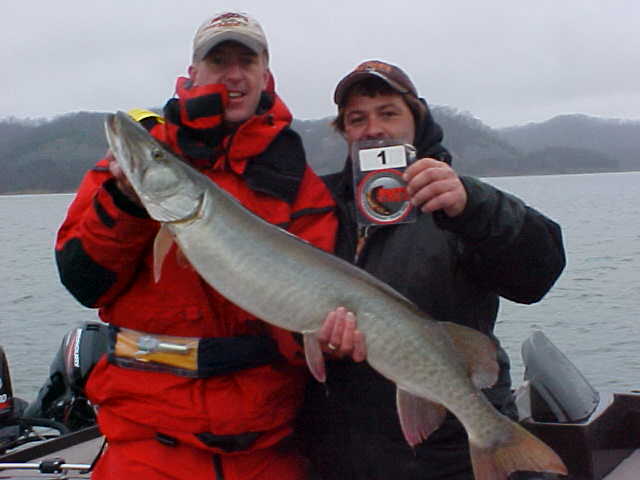 Click to expand / contract the width of this image