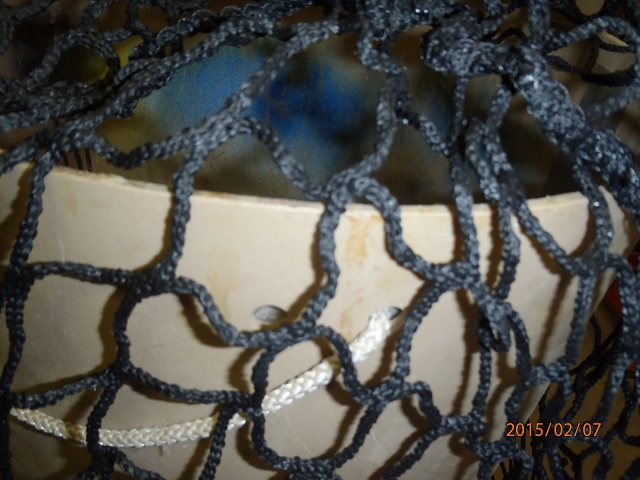 Click to expand / contract the width of this image