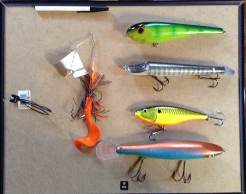 Click to expand / contract the width of this image