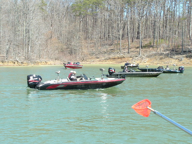 Click to expand / contract the width of this image