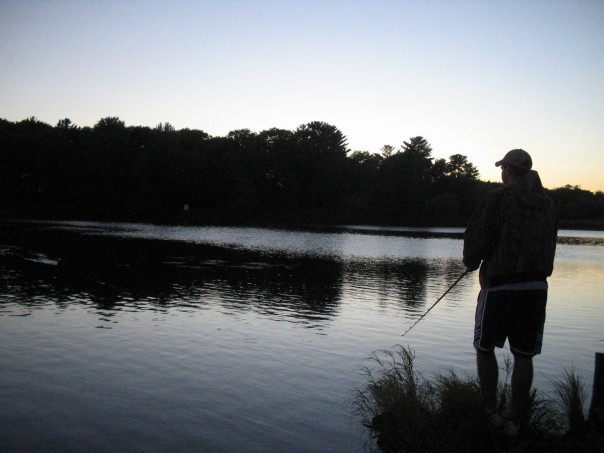 Click to expand / contract the width of this image