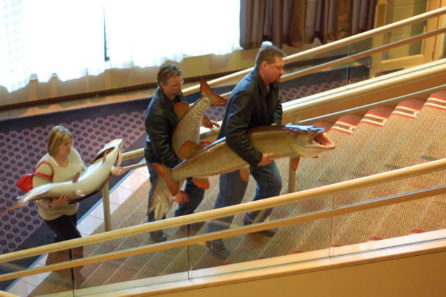 Click to expand / contract the width of this image