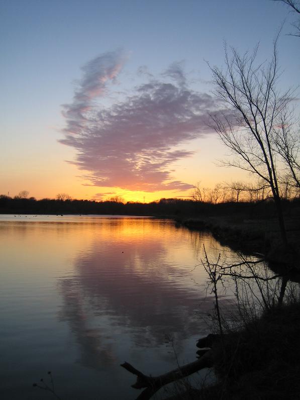 Click to expand / contract the width of this image