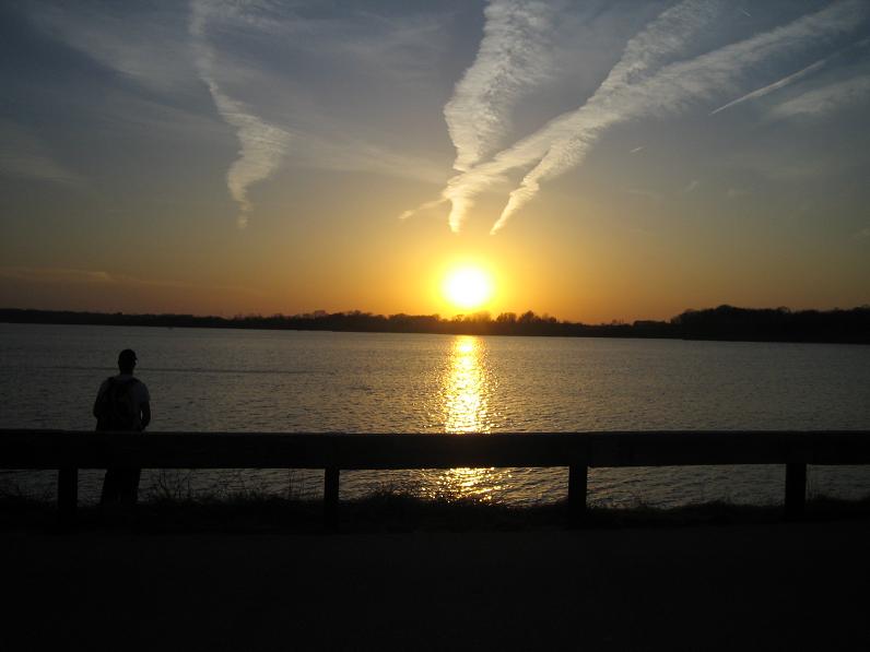 Click to expand / contract the width of this image