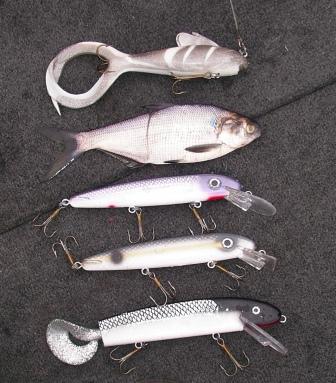 Click to expand / contract the width of this image