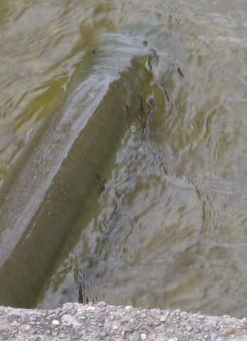 Click to expand / contract the width of this image